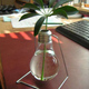 Illustration for article titled DIY Light Bulb Planters and Mini Terrariums Bring Too Many Puns